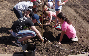 Reichenberg-Schule Reichelsheim