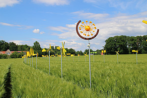 Pictorius-Berufskolleg Coesfeld - die Fortschrittlichen Pictorius-Berufskolleg Coesfeld