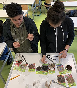 Gyula Trebitsch Schule Tonndorf